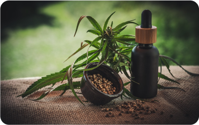 A Beginner’s Guide to Choosing the Right CBD Oil